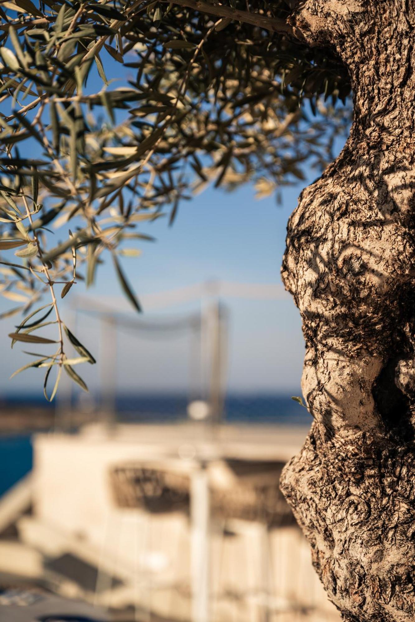 Xvi - Adults Only Hotel Naxxar